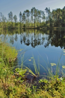 Moorsee in Finnland